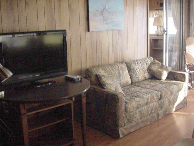 Living Room Sofa TV 1 